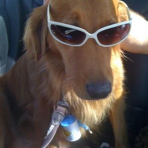 Meet your Posher, Margaret